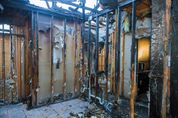 Professional Fire Damage Repair technician working in Newington, VA